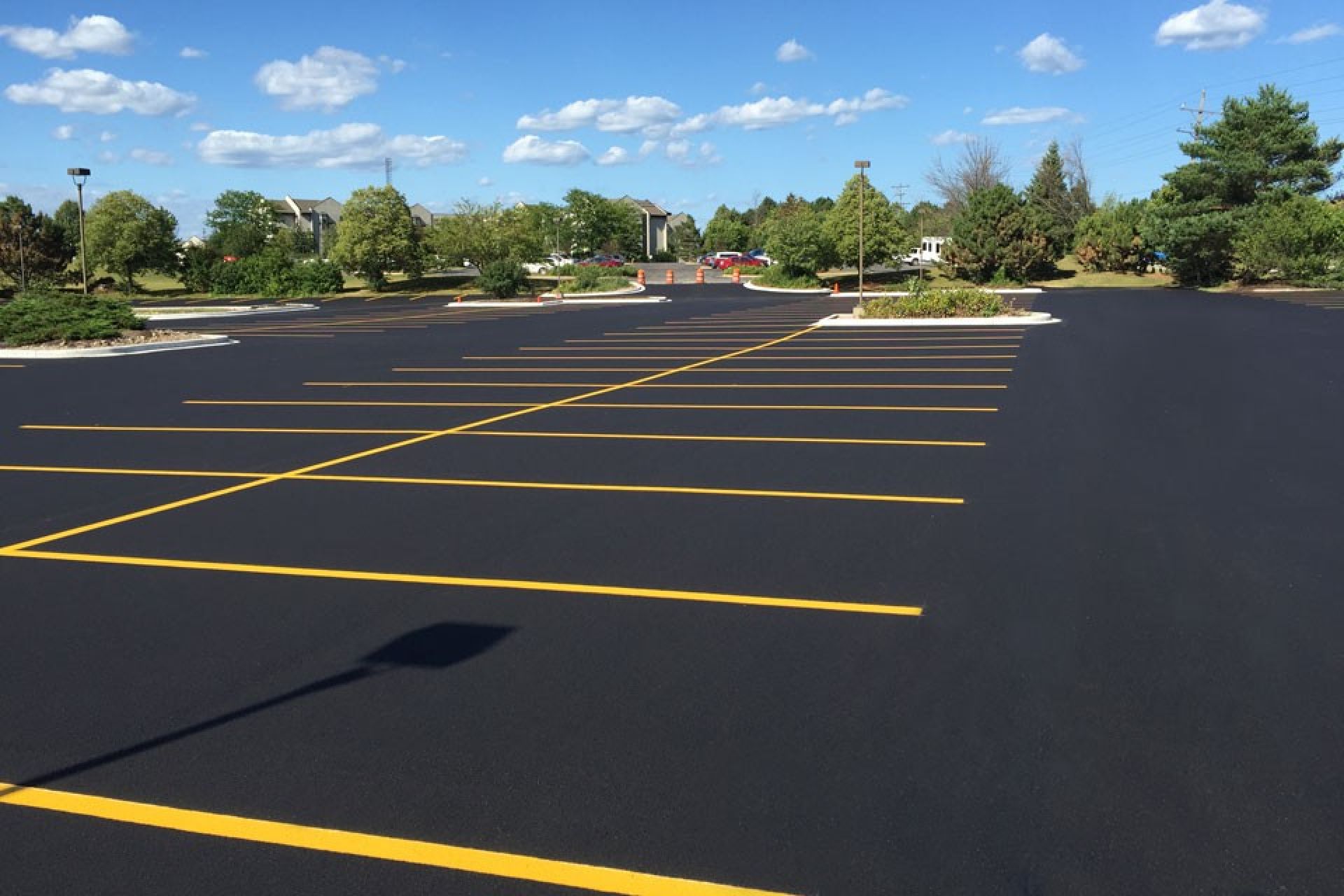 Girl Sitting on Grass Smelling White Petaled Flower